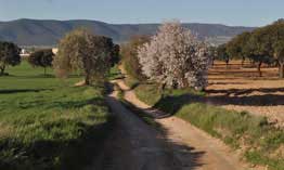 valle-del-alcudia