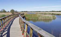 laguras-de-ruidera