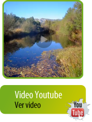 canal youtube